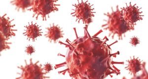 Ancient origins of viruses discovered