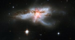 Black hole and stellar winds form giant butterfly shut down star formation in galaxy