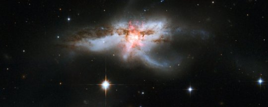 Black hole and stellar winds form giant butterfly shut down star formation in galaxy