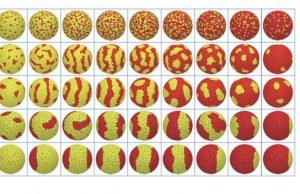 Characterising the structure of self-assembling organic molecules on the surface of nanoparticles Characterising the structure of self assembling organic molecules on the surface of nanoparticles