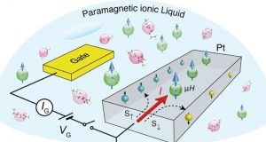 Creating a 2 D platinum magnet