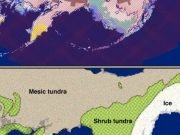 Did last ice age affect breastfeeding in Native Americans