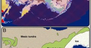 Did last ice age affect breastfeeding in Native Americans