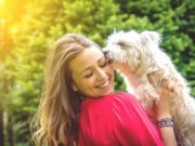 Dogs could be more similar to humans than we thought