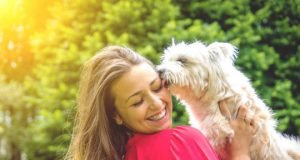 Dogs could be more similar to humans than we thought