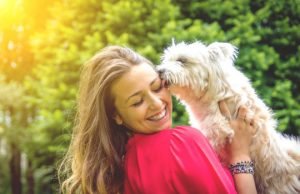 Dogs could be more similar to humans than we thought Dogs could be more similar to humans than we thought