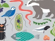 Earth BioGenome Project aims to sequence DNA from all complex life on Earth