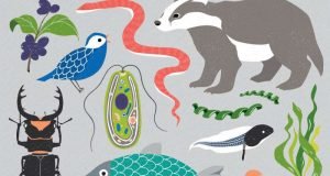 Earth BioGenome Project aims to sequence DNA from all complex life on Earth