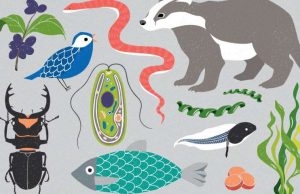 Earth BioGenome Project aims to sequence DNA from all complex life on Earth Earth BioGenome Project aims to sequence DNA from all complex life on Earth
