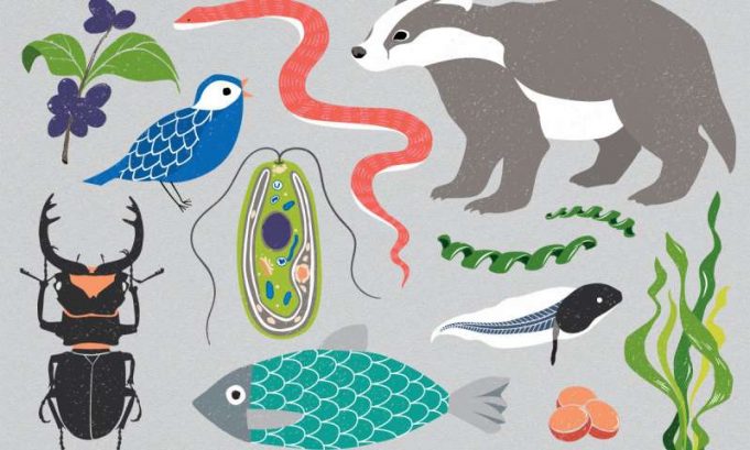 Earth BioGenome Project aims to sequence DNA from all complex life on Earth Earth BioGenome Project aims to sequence DNA from all complex life on Earth