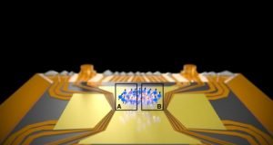 Einstein Podolsky Rosen paradox observed in many particle system for the first time