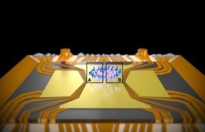 Einstein-Podolsky-Rosen paradox observed in many-particle system for the first time Einstein Podolsky Rosen paradox observed in many particle system for the first time