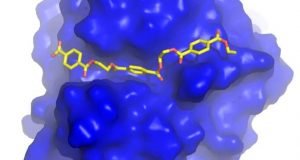 Engineering a plastic eating enzyme