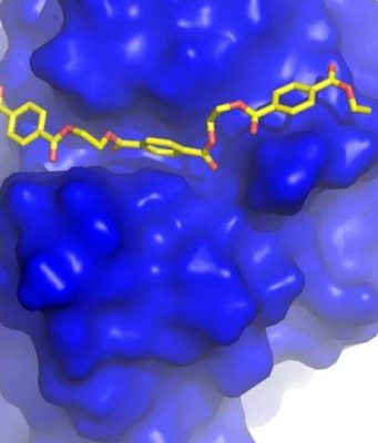 Engineering a plastic eating enzyme