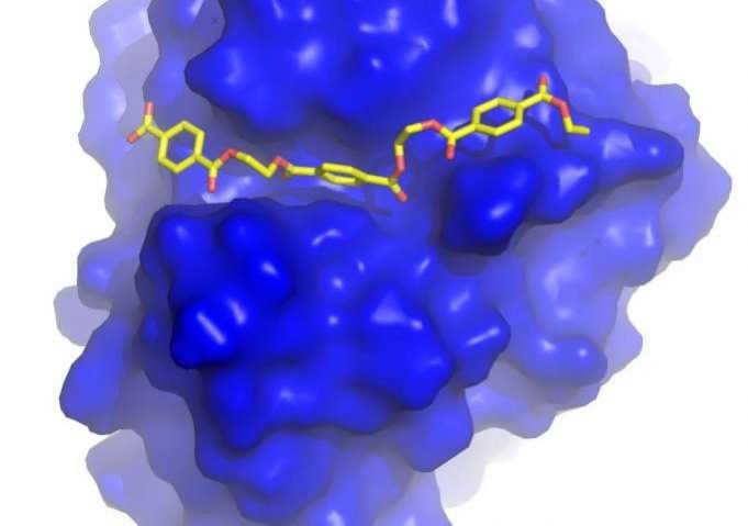 Engineering a plastic-eating enzyme Engineering a plastic eating enzyme