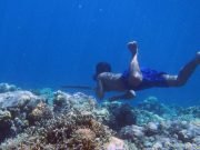 Genetic adaptations to diving discovered in humans for the first time