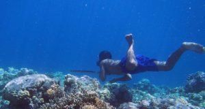Genetic adaptations to diving discovered in humans for the first time