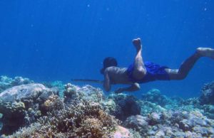 Genetic adaptations to diving discovered in humans for the first time Genetic adaptations to diving discovered in humans for the first time