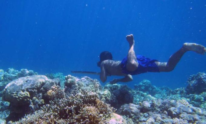 Genetic adaptations to diving discovered in humans for the first time Genetic adaptations to diving discovered in humans for the first time