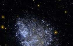 Is dark matter made of primordial black holes