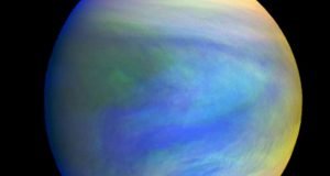 Is there life adrift in the clouds of Venus