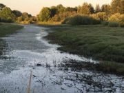 Large wildfires bring increases in annual river flow