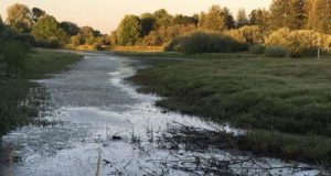 Large wildfires bring increases in annual river flow