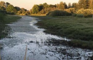 Large wildfires bring increases in annual river flow Large wildfires bring increases in annual river flow