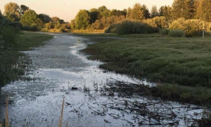 Large wildfires bring increases in annual river flow Large wildfires bring increases in annual river flow