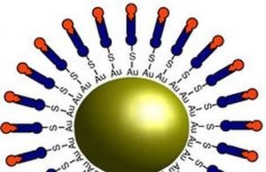 Nanomedicine: Drugs can be made ‘smarter’ Nanomedicine Drugs can be made smarter