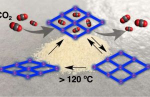 New carbon-dioxide-adsorbing crystals for biomedical materials that rely on shape-memory effect New carbon dioxide adsorbing crystals for biomedical materials that rely on shape memory effect