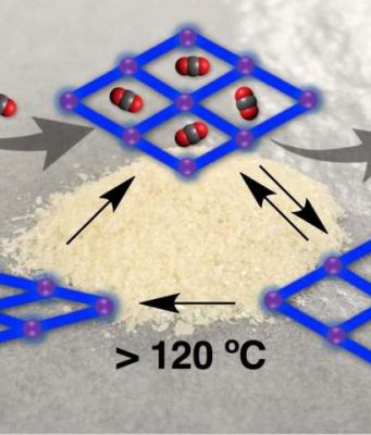 New carbon dioxide adsorbing crystals for biomedical materials that rely on shape memory effect
