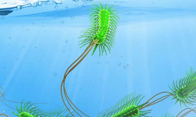 New method predicts evolution New method predicts evolution