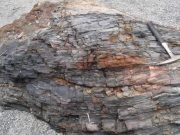 New source of global nitrogen discovered New source of global nitrogen discovered