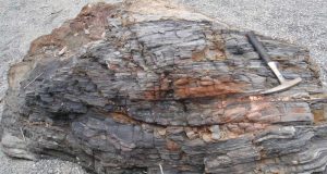 New source of global nitrogen discovered