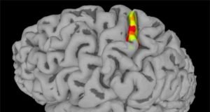 Paralyzed patient feels sensation again