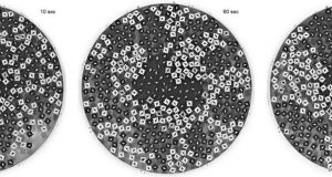 Physicists demonstrate demixing behavior of rotating particles