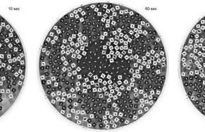 Physicists demonstrate demixing behavior of rotating particles Physicists demonstrate demixing behavior of rotating particles