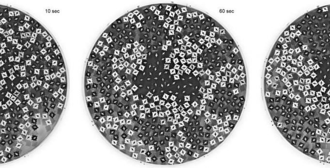 Physicists demonstrate demixing behavior of rotating particles Physicists demonstrate demixing behavior of rotating particles