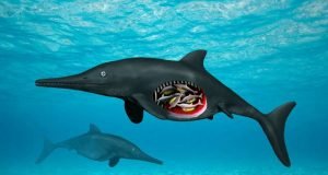 Prehistoric reptile pregnant with octuplets