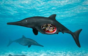 Prehistoric reptile pregnant with octuplets Prehistoric reptile pregnant with octuplets