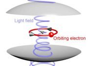 Quantum shift shows itself in coupled light and matter Quantum shift shows itself in coupled light and matter