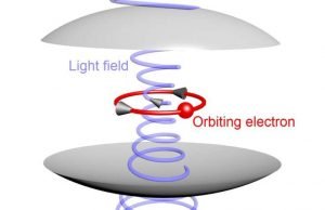 Quantum shift shows itself in coupled light and matter Quantum shift shows itself in coupled light and matter