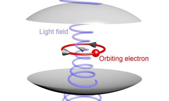 Quantum shift shows itself in coupled light and matter Quantum shift shows itself in coupled light and matter
