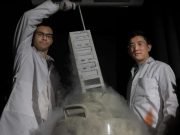 Remote control shoots laser at nano gold to turn on cancer killing immune cells