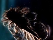 Researchers find that swarms of tiny organisms mix nutrients in ocean waters