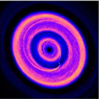 Rings and gaps in a developing planetary system