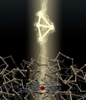 Scientists breed bacteria that make tiny high energy carbon rings