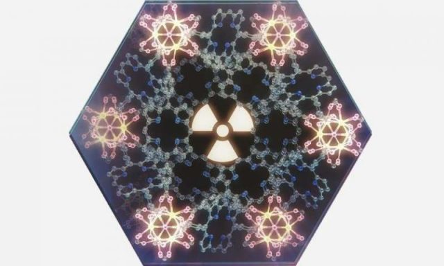 Scientists build army of metal organic nanoflowers to treat cancer Scientists build army of metal organic nanoflowers to treat cancer