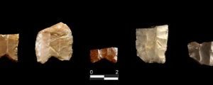 Spear point study offers new explanation of how early humans settled North America